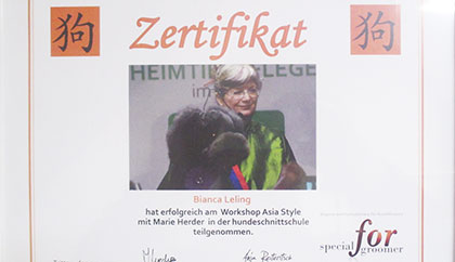 Zertifikate